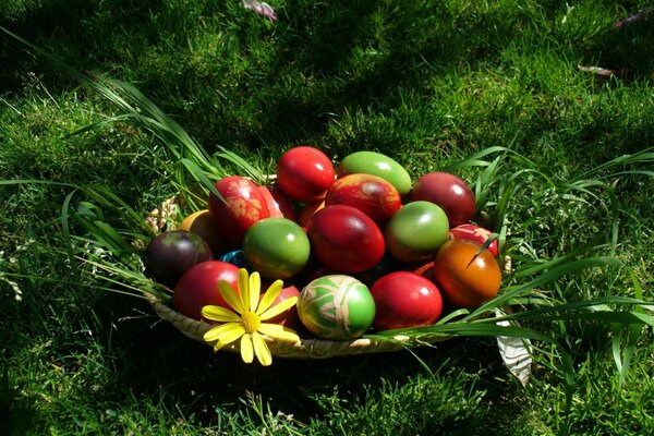 Huevos de Pascua en una canasta en la hierba