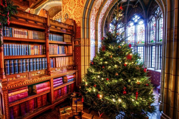 Beautiful Christmas tree by the bookcase