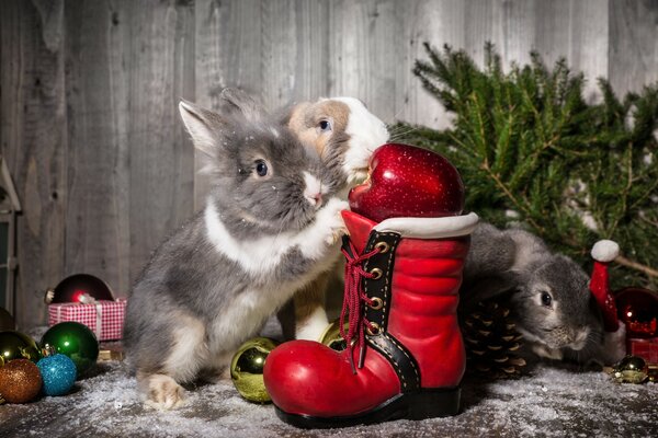 Tres conejos en el fondo de los juguetes de Navidad