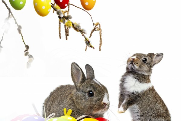 Zwei süße Hasen mit Ostereiern