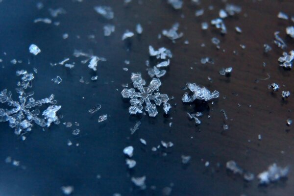 Beautiful snowflakes on a dark surface