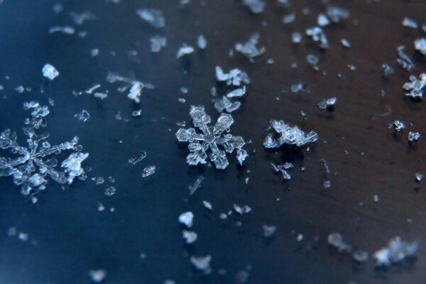 Hermosos copos de nieve en una superficie oscura