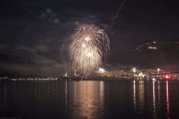 Fireworks sparkling in the night sky