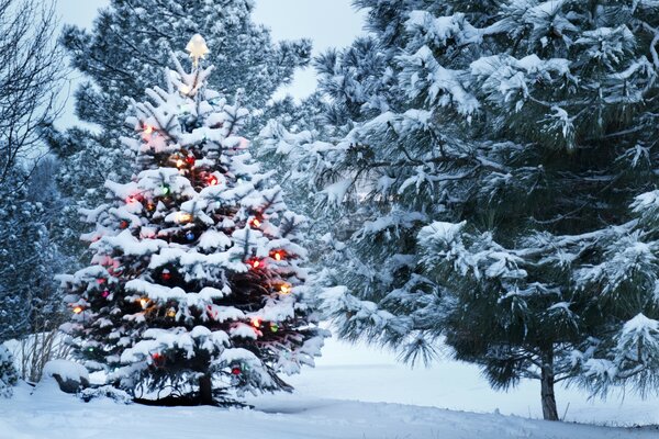 Decorated Christmas tree on the edge of the forest