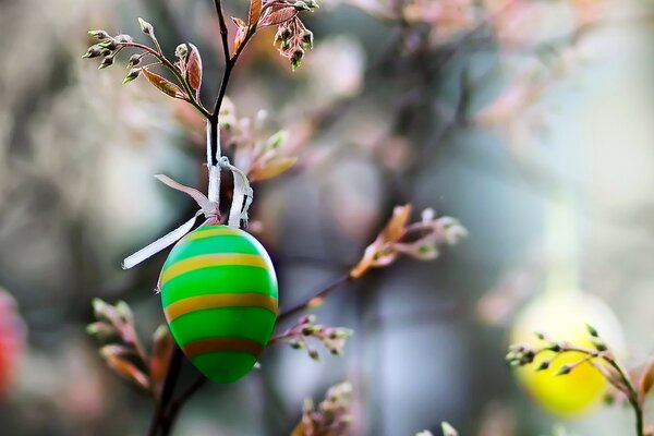 Colorful Easter egg on a branch