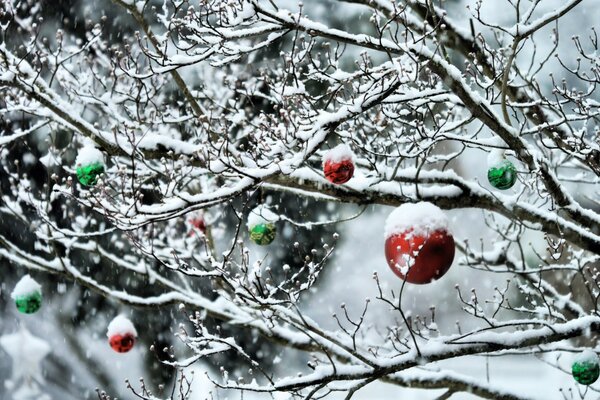 Alberi innevati nella foresta con palle di Natale