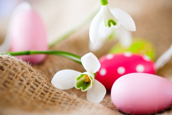 Bright Easter eggs and flowers