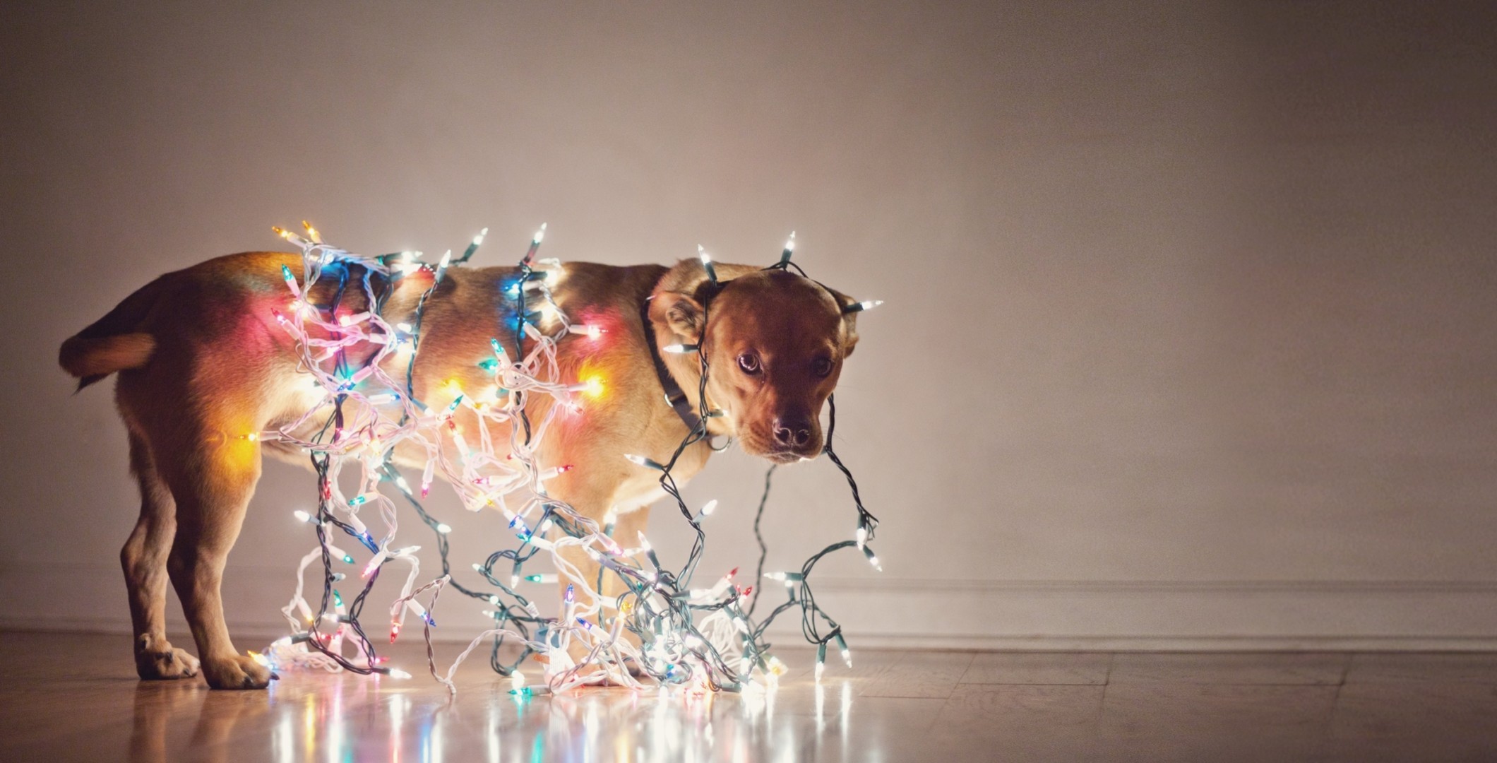 dog holiday bulbs new year garland