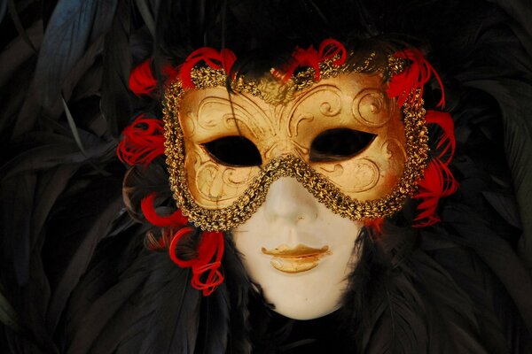 Masque d or sur fond de plumes noires