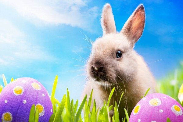 Huevo de Pascua y liebre en la hierba