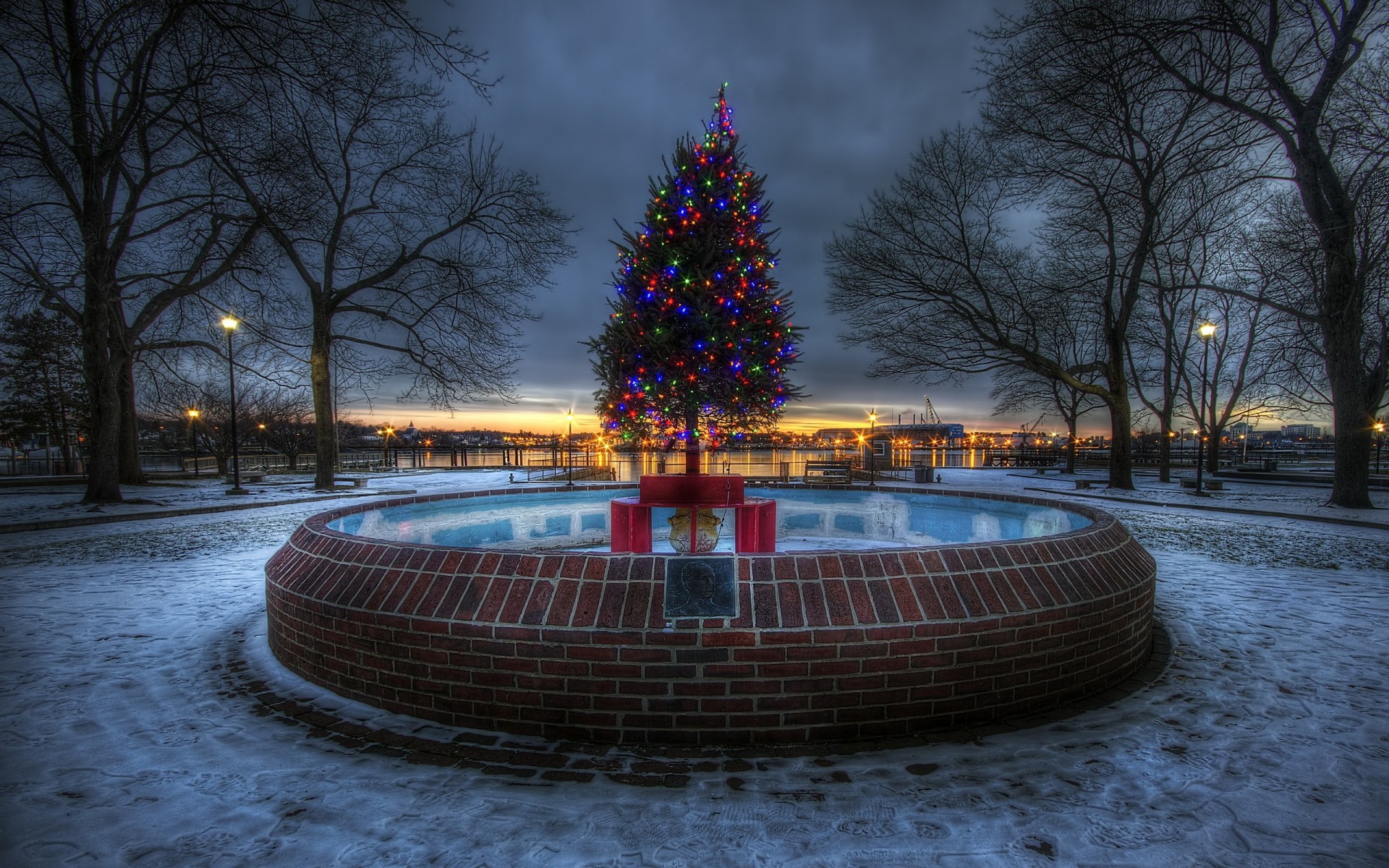 árbol de navidad vacaciones ciudad