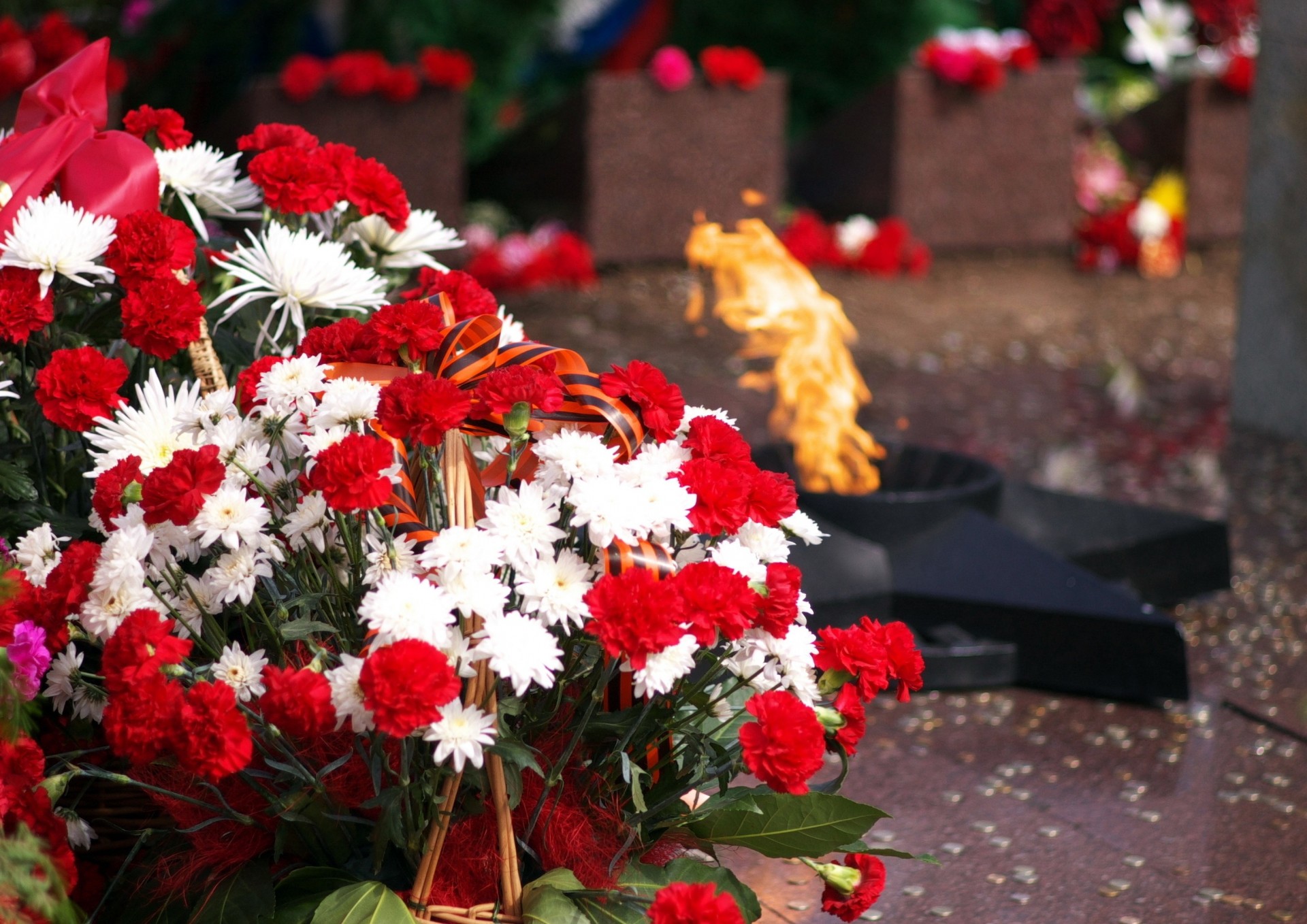 feu éternel jour fleurs victoires