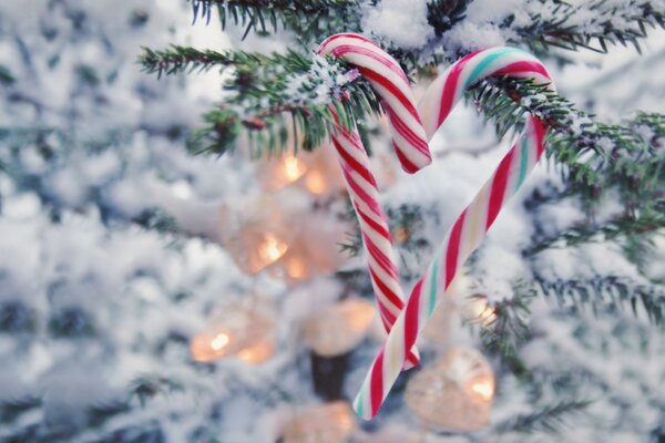 Striped lollipops hang on the Christmas tree in the form of a heart