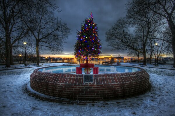 In der Mitte des Platzes steht ein geschmückter Weihnachtsbaum