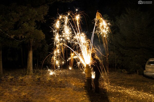 Capodanno , fuochi d artificio, gioia