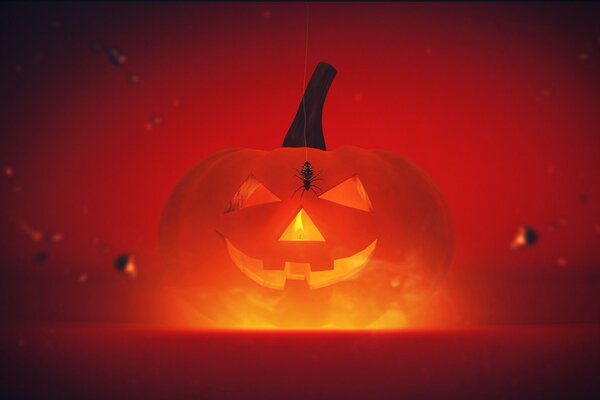 Zucca di Halloween in fiamme con ragno