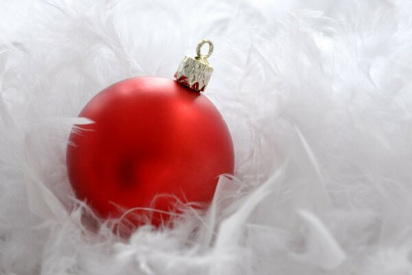 Red Christmas ball in white swan s down