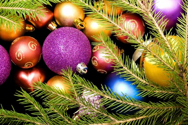 Jouets de Noël multicolores encadrés par des branches de sapin