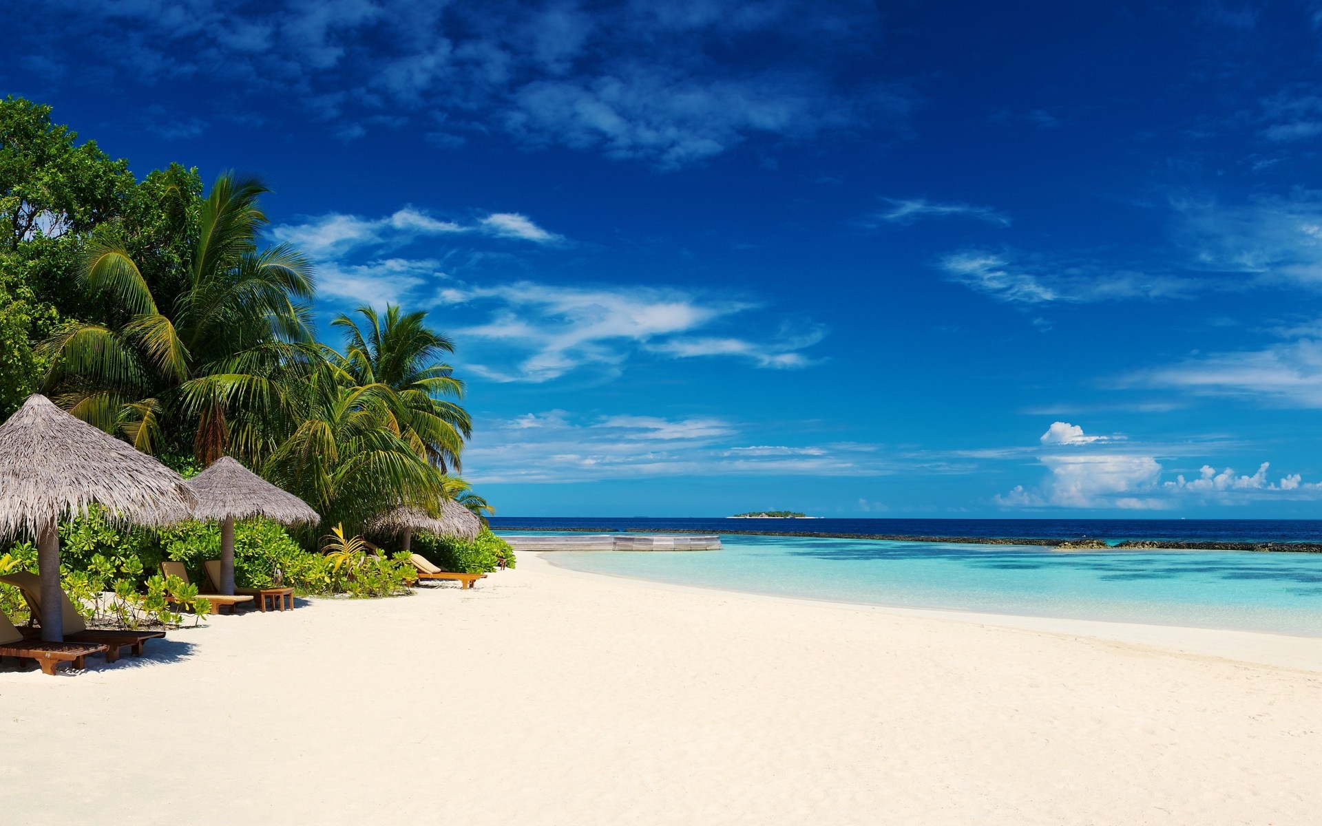 tropical playa paisaje palmeras costa naturaleza cielo paraíso mar playas maldivas