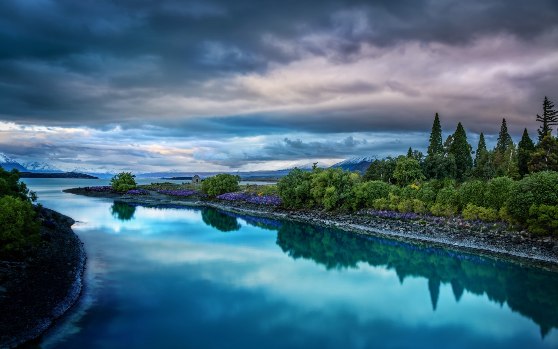 river landscape nature palm clouds new zealand tree