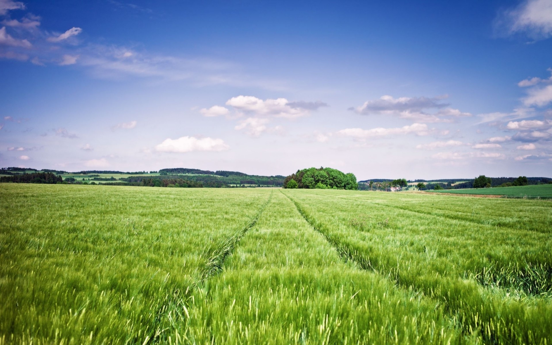 mig-15 panorama landscape outlines blue sky the field summer