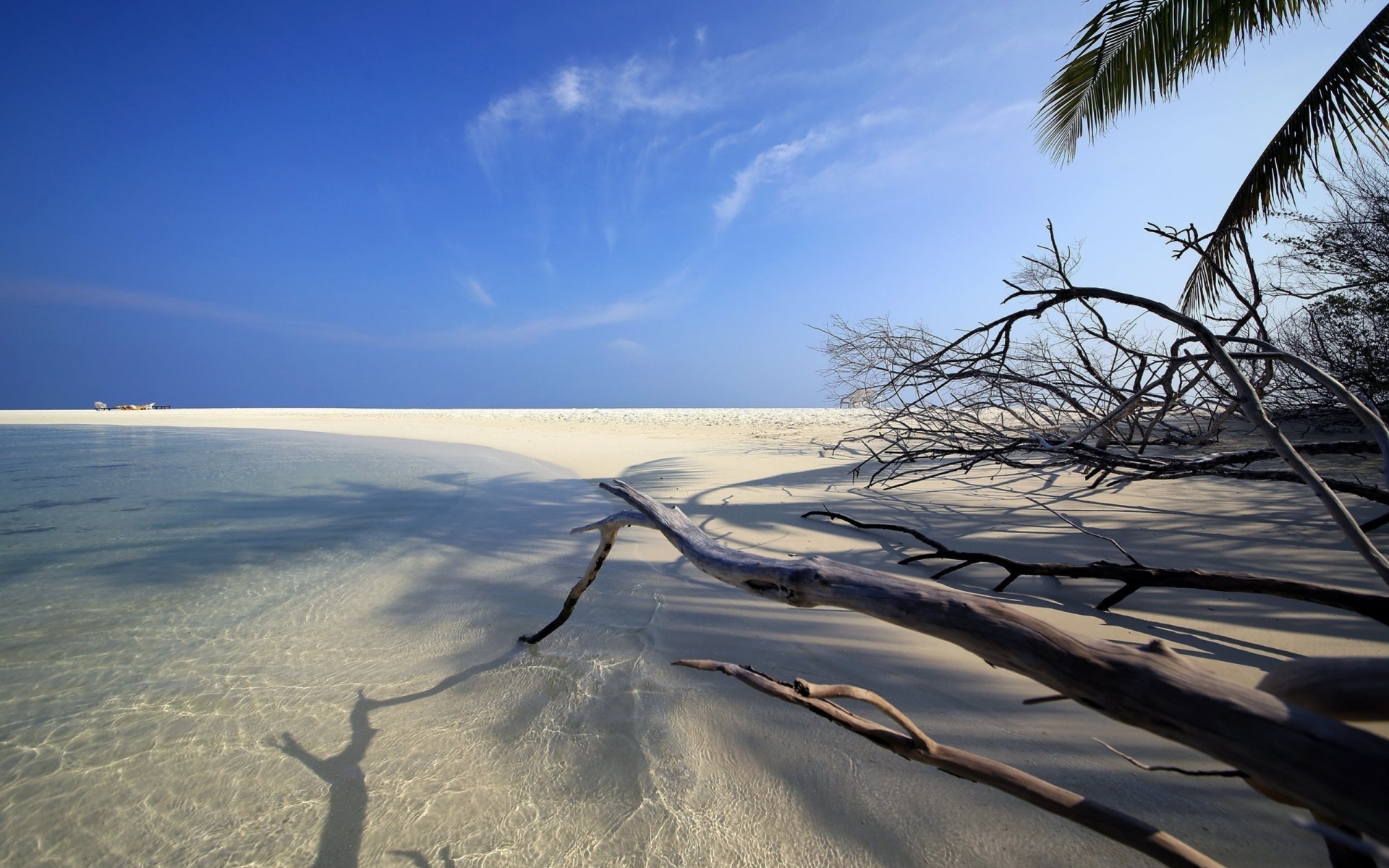 sable tropical plage contour eau océan