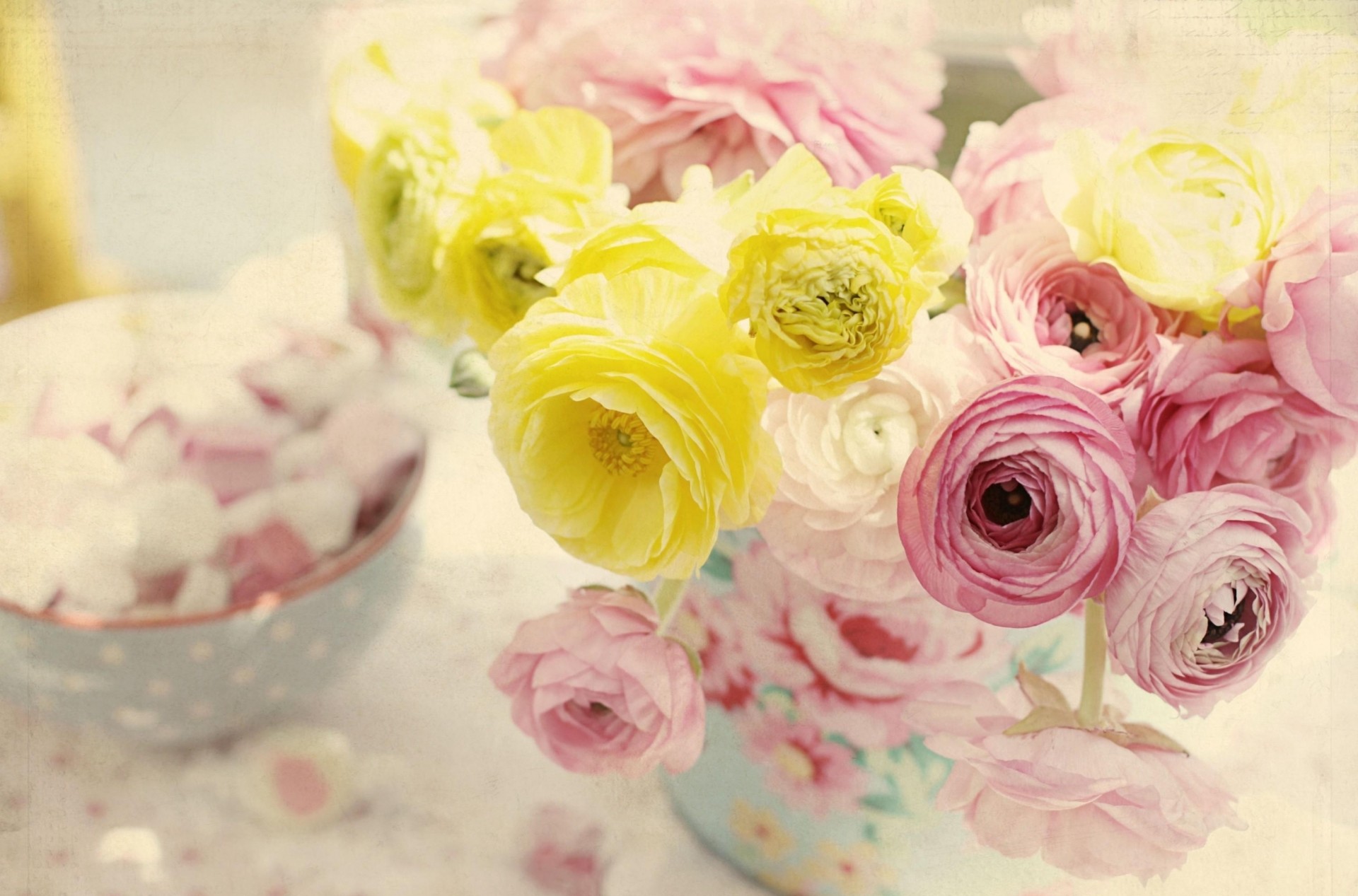 tendresse vase fleurs ranunculus