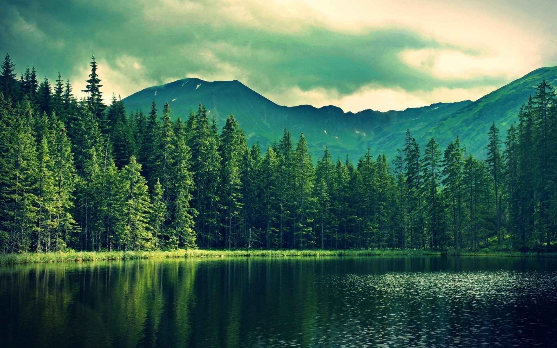 ciel forêt nature montagnes lac arbres palmiers eau forêt rivière nuages