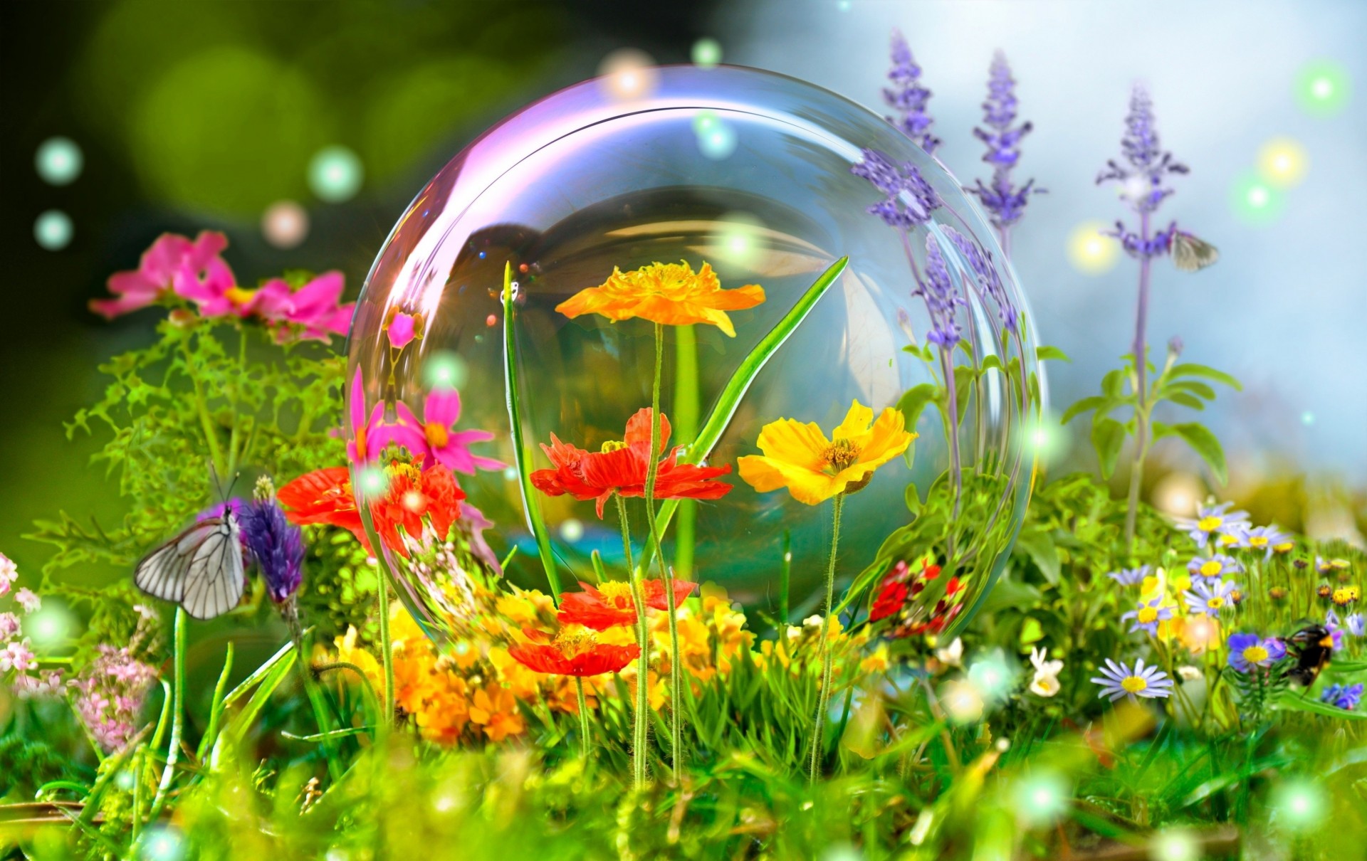 job nature summer bubble light flower bumblebee photoshop beautiful 3d