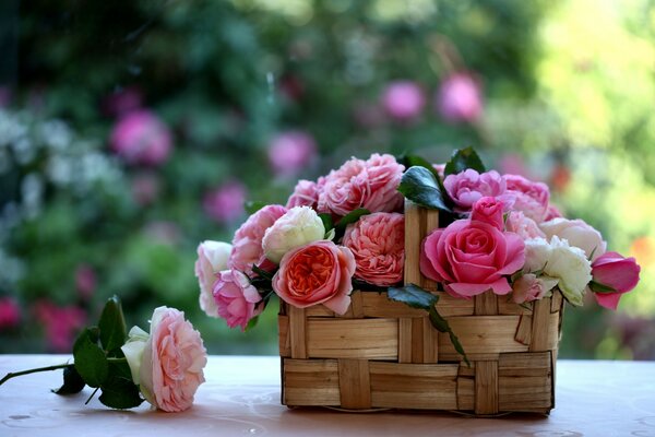Delicate basket with rosebuds