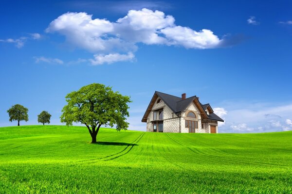 House on the background of a green field and blue sky