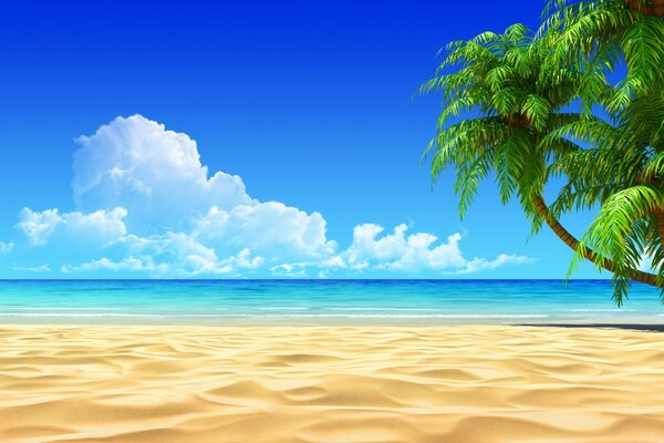 Tropical beach with white sand and palm trees