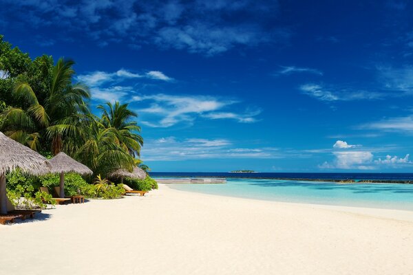 Landschaft eines tropischen Strandes auf den Malediven mit Palmen