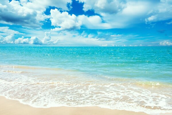 Hermosa foto de la playa en verano