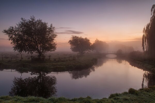 The beautiful lake is covered with fog