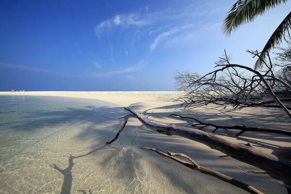 Tropischer Strand, im Wasser Umrisse von Bäumen