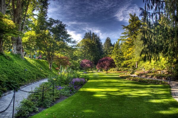 Herrlicher Garten mit grünem Rasen