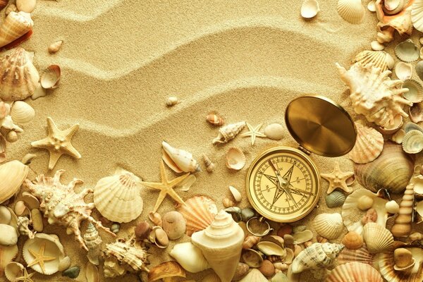 Créativité d été sur le sable de coquillages