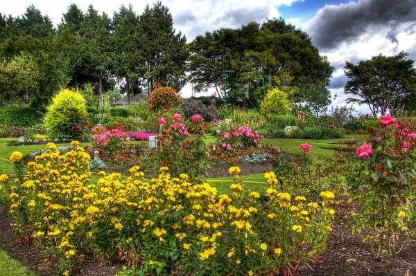 Beautiful garden with trees and bright flowers