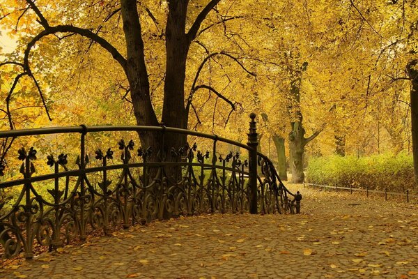 Otoño dorado en el vals del follaje