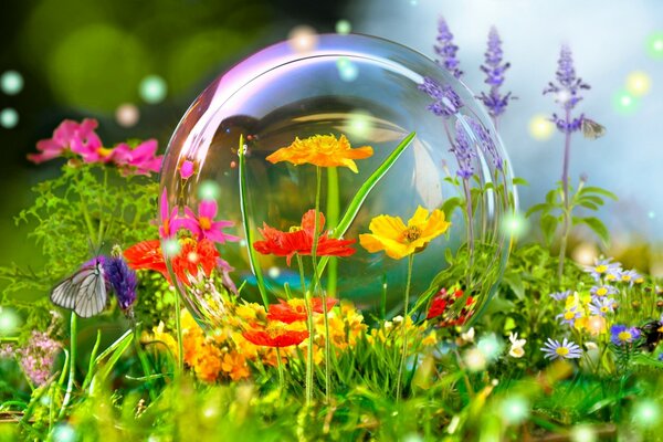 Soap bubble in grass and flowers