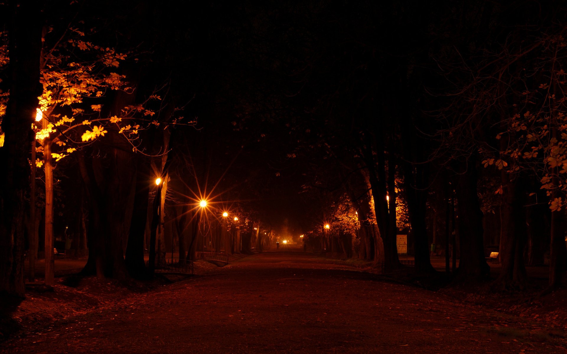 ville humeur lanternes lumières lumière lanterne romance soirée nuit route allée ruelles routes arbre arbres rue rues lieux