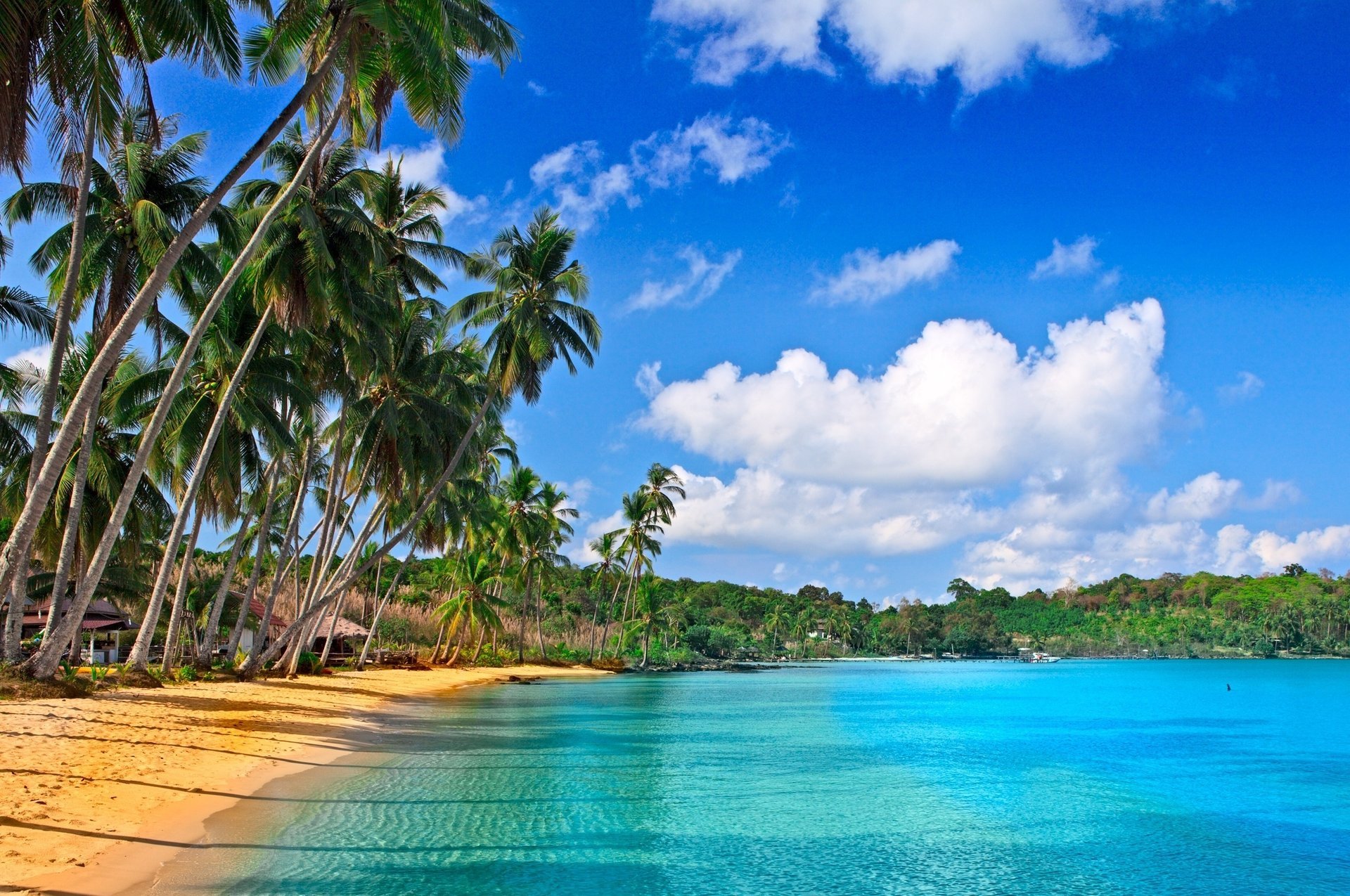 zuhause wolken strand palmen sand meer tropen natur ozean resort himmel