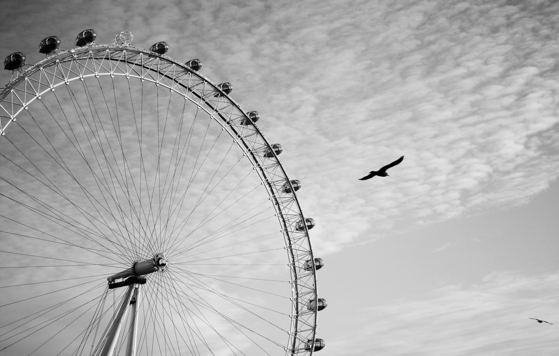 londres grande roue oeil de londres oeil de londres oiseaux voler ciel nuages