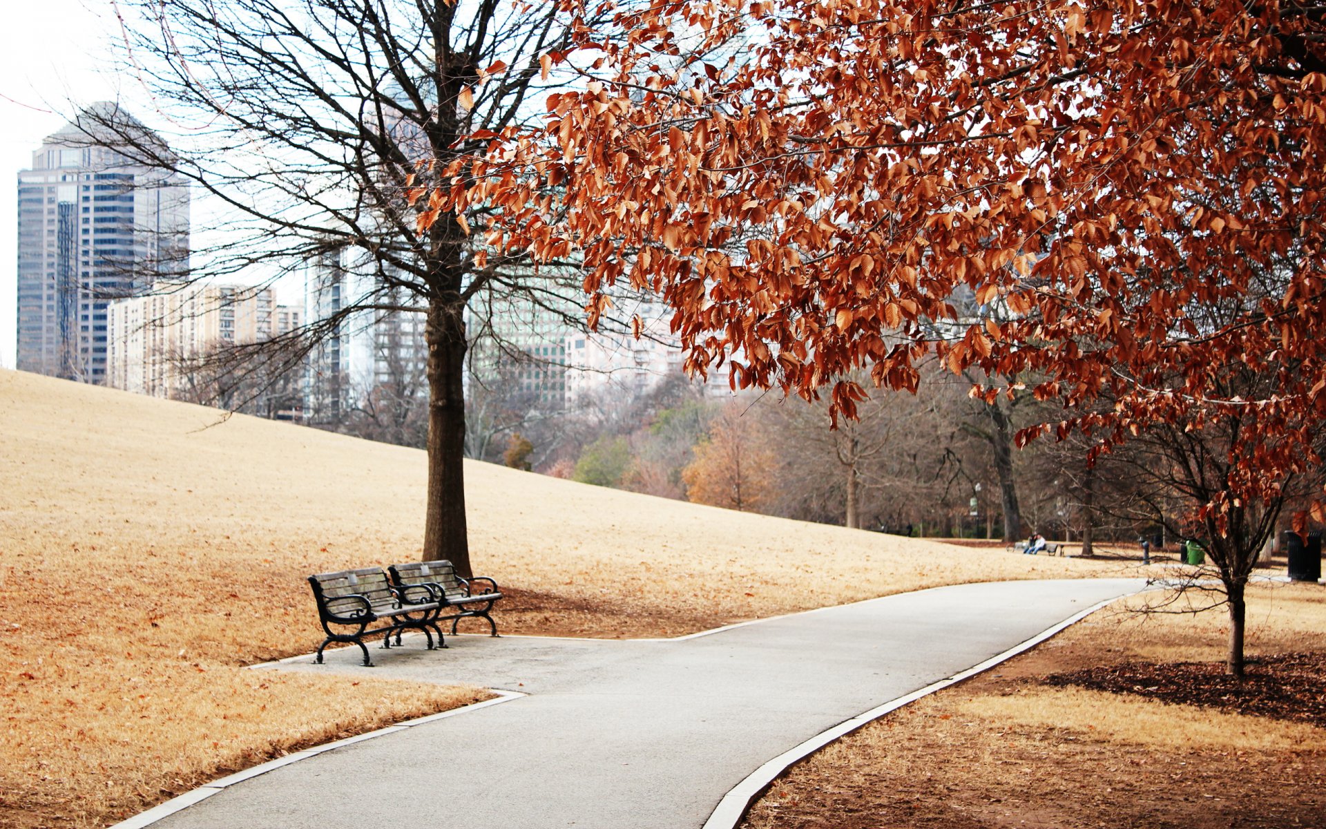 town landscape park track autumn foliage tree benches turf grass slope buildings view