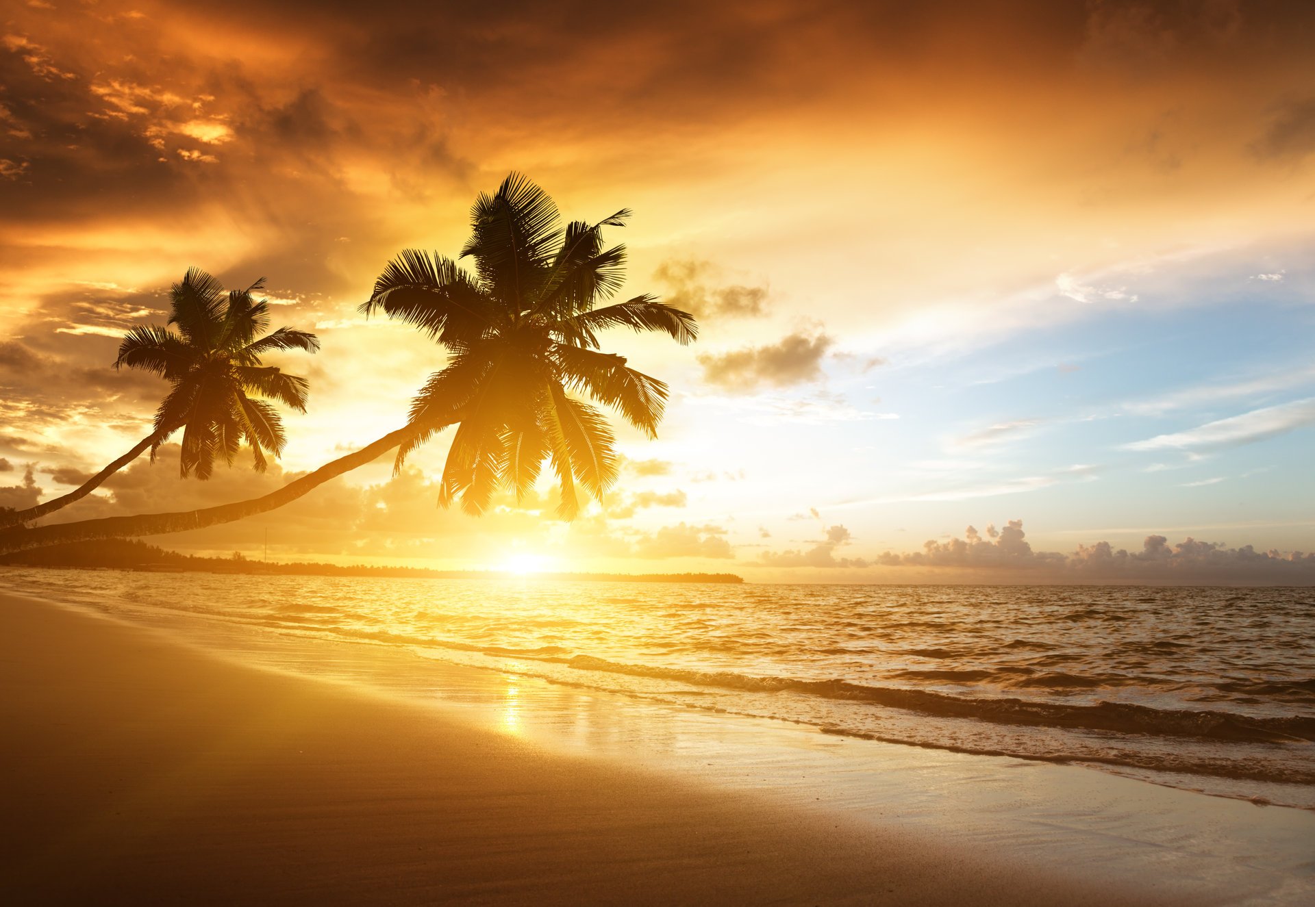 caribbean palms ocean sunrise clouds sea sunlight