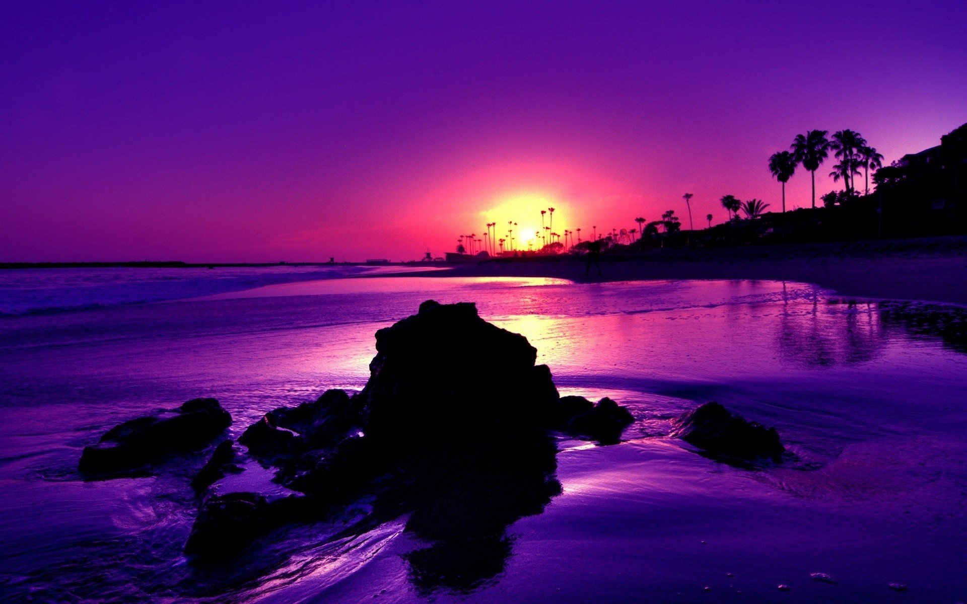 naturaleza paisaje mar puesta de sol olas palmeras