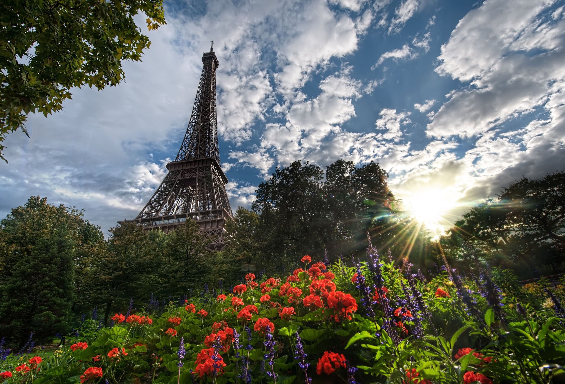 parigi torre eiffel fiori sole alberi