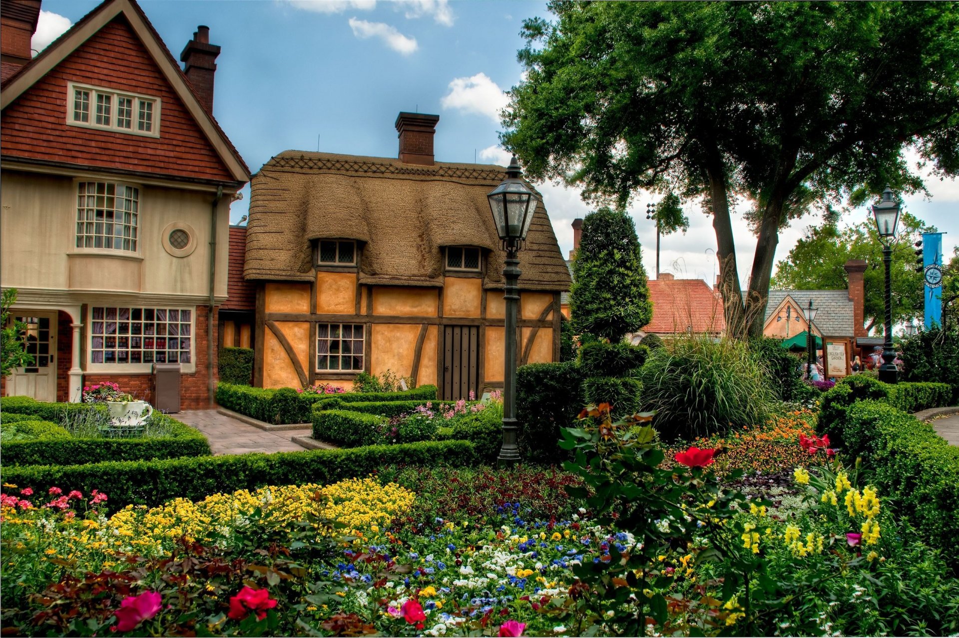 town houses flower bed tree