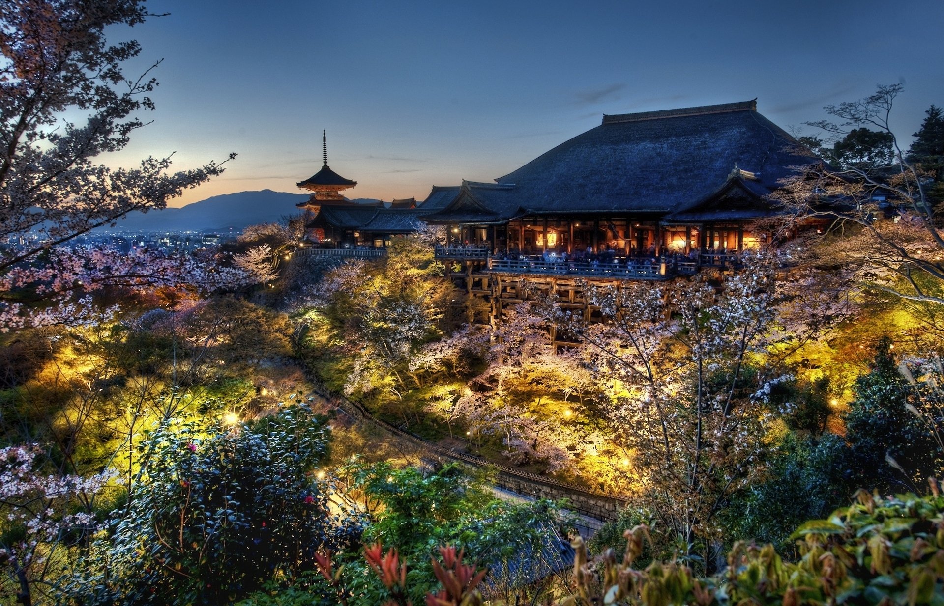 japón kyoto casa del samurai noche sakura bosque casa